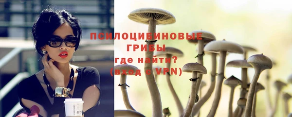 а пвп мука Няндома