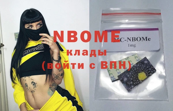 амф Новозыбков
