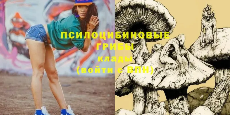 Псилоцибиновые грибы Magic Shrooms  Кодинск 